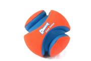 Ballon Kick Fetch pour chien Chuckit!