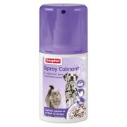 Spray calmant à la valériane pour chat Beaphar
