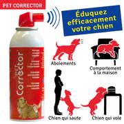 Repousse-chien Pet Corrector Company of Animals