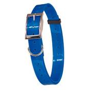 Collier fluo plein-air et chasse bleu pour chien