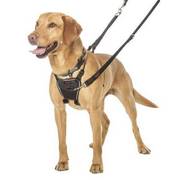 Harnais Non Pull pour chien Chadog