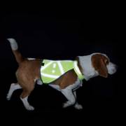 Harnais gilet de signalisation Hunter pour chien