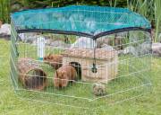 Enclos extérieur pour rongeur avec filet de protection