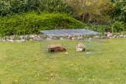 Enclos lapin métal XL avec toit