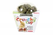 Friandises Crunchy Cup blocs luzerne et carotte pour lapin