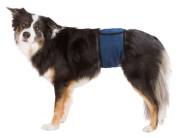 Couche pour chien mâle bleu