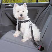 Harnais de voiture pour chien