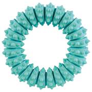 Jouet anneau Denta Fun Mintfresh pour chien