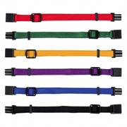 Collier d'identification chiot naissance set 2