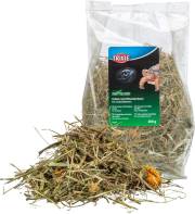 Graminées et herbes de prairie pour tortue