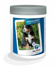 Croissance grand chien