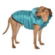 Manteau Studio turquoise pour chien