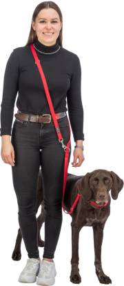 Collier rouge pour gros chien Premium