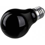 Lampe clair de lune à chaleur pour reptile