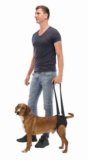 Harnais pour chien handicapé Trixie