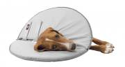 Collerette de protection en mousse pour chien et chat