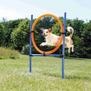 Anneau Agility pour chien Trixie
