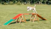 Obstacle Dogwalk Agility pour chien Trixie