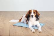 Matelas rafraîchissant Cooling mat bleu pour chien