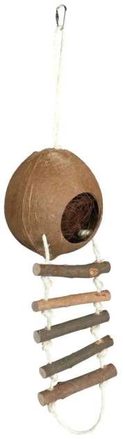 Maison en noix de coco avec échelle pour hamster