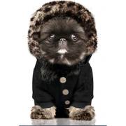 Milk & Pepper Sweat Kafue noir pour chien