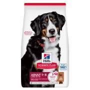 Hill's Science Plan croquettes Adult Large Breed Agneau & Riz pour Chien