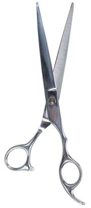 Ciseaux droits professionnels de tonte 20 cm pour chien et chat