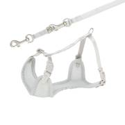 Harnais Baby gris avec laisse pour chiot