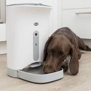 Distributeur automatique de croquettes connecté TX8 Smart 4,3 L pour Chien et Chat