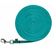 Laisse à pister Turquoise pour chien