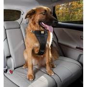 Harnais sécurité voiture noir pour chien