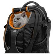 Sac à dos de randonnée G-Train pour chat pour Chien