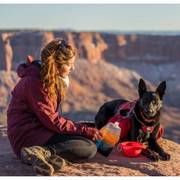 Gamelle pliable Collaps rouge pour chien et chat