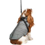 Manteau Fast gris pour chien Bobby