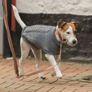 Pull Kenton gris pour chien Trixie