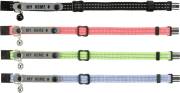 Collier pour chat personnalisé avec bande adresse