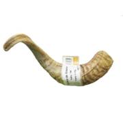 Corne de mouton pour chien Bubimex