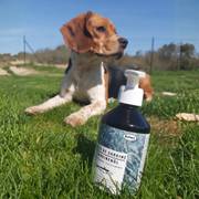 Huile de sardine Bubimex pour chien et chat