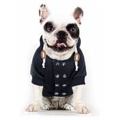 Milk & Pepper Sweat Rookie pour chien