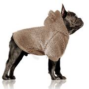 Milk & Pepper Sweat à capuche mouton camel Elliot pour chien