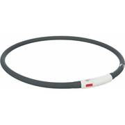 Collier USB Flash lumineux gris pour chien