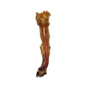 Tendon d'Achille pour chien 1 kg Bubimex