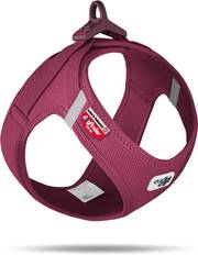 Curli Harnais Boucle Air-Mesh violet pour Chien