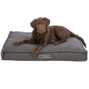 Matelas épais 10 cm pour chien 80 à 120 cm Trixie