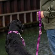 Collier Urban Style PASSION DOG Copenhagen pour chien