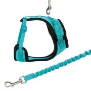 Harnais pour Maine Coon 30-60 cm