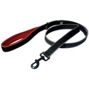 Laisse de traction pour chien Kurgo