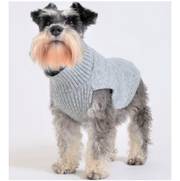 Pull Today bleu doux pour chien Chic & Douillet