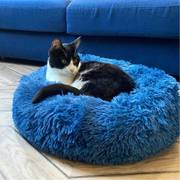 Coussin apaisant Noé Bleu pour chien et chat