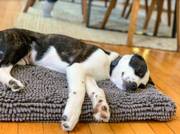 Matelas absorbant gris pour chien